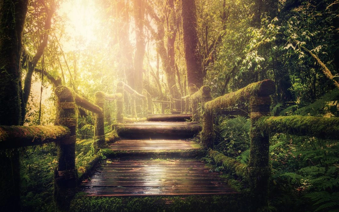 Why Look to Near-Death Experiencers for Insights on the Afterlife?